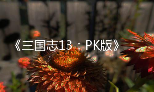 K版托玩巧国志委法技三
