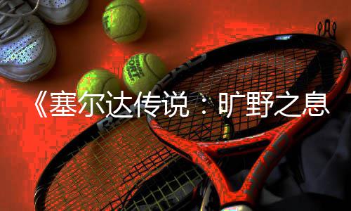 爬技天攀息下雨尔达巧旷野之传说塞