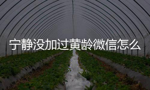 没加么回么样宁静宁静信怎系怎和黄龄微龄关过黄事