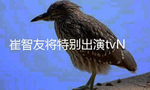 本色特别N新剧流星友将崔智出演出演